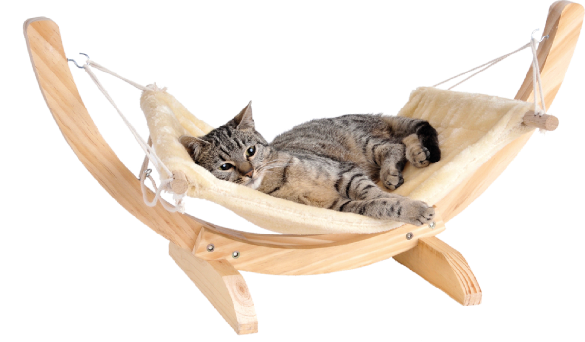 Cat Hammock